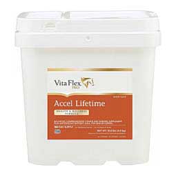 Accel Lifetime Health & Wellness Formula for Horses  Vita Flex Nutrition